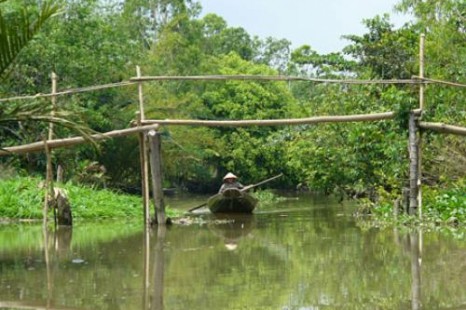 Tour Du Lịch Hà Nội - Sài Gòn - Miền Tây 3 Ngày 2 Đêm | Tham Quan Sài Gòn - Mỹ Tho - Bến Tre - Cần Thơ